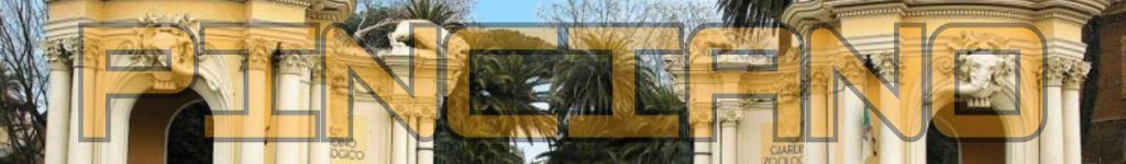 Case in vendita nel quartiere Pinciano a Roma – panoramica elegante tra ville storiche, parchi verdi e palazzi signorili, ideale per chi cerca immobili di prestigio e qualità nella zona.